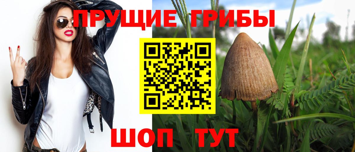 Псилоцибиновые грибы Psilocybine cubensis  Вход с VPN  Сосновый Бор 