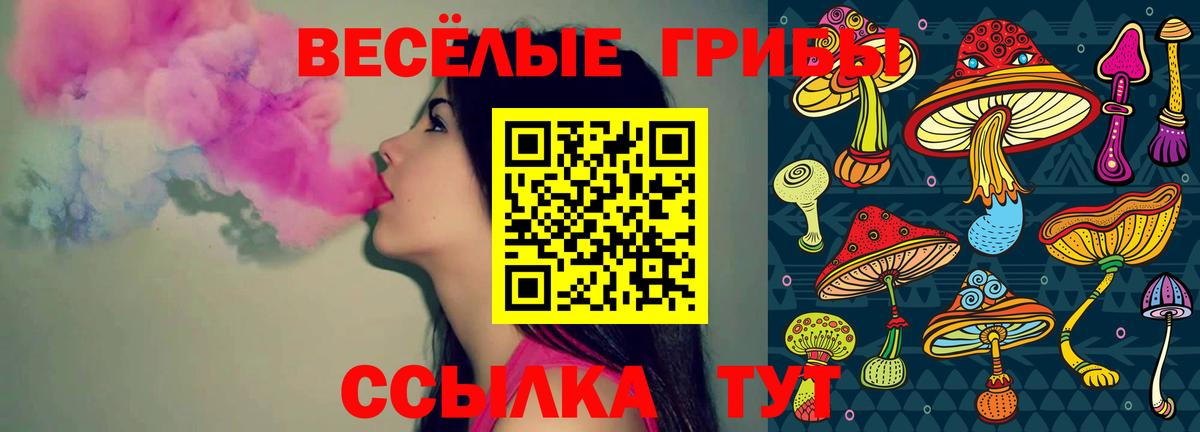 Галлюциногенные грибы GOLDEN TEACHER Сосновый Бор